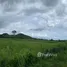  Terrain for sale in Hua Hin Prachuap Khiri Khan, Nong Phlap, Hua Hin