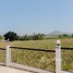 Terrain for sale in Pran Buri Prachuap Khiri Khan, Wang Phong, Pran Buri, Prachuap Khiri Khan