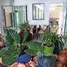  Hotel for sale in Hua Hin Prachuap Khiri Khan, Nong Kae, Hua Hin, Prachuap Khiri Khan