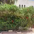 4 chambre Maison for sale in Tetouan Tanger Tetouan, Na Martil, Tetouan, Tanger Tetouan, Maroc
